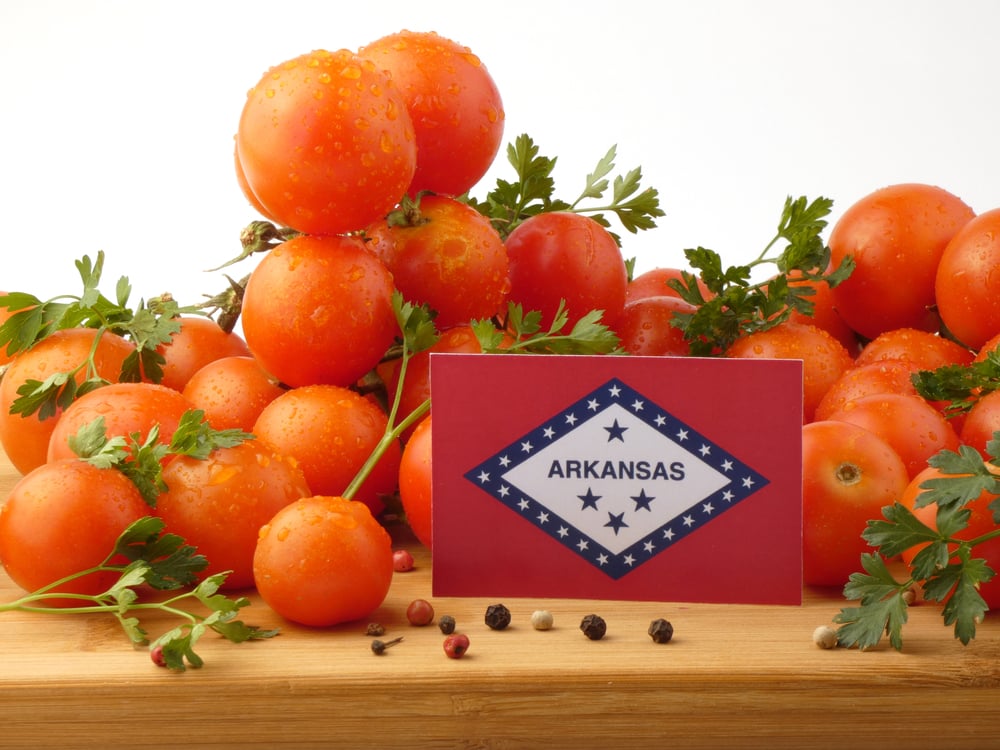 Arkansas' state fruit the south arkansas vine pink tomato.jpeg