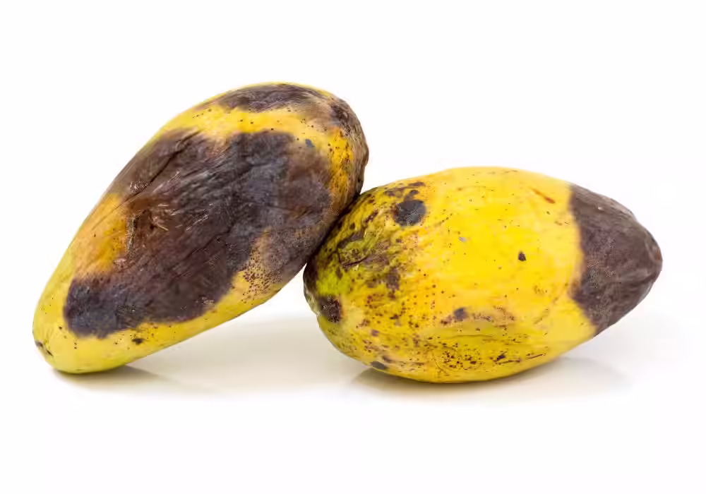 Bad Mango, dark spots
