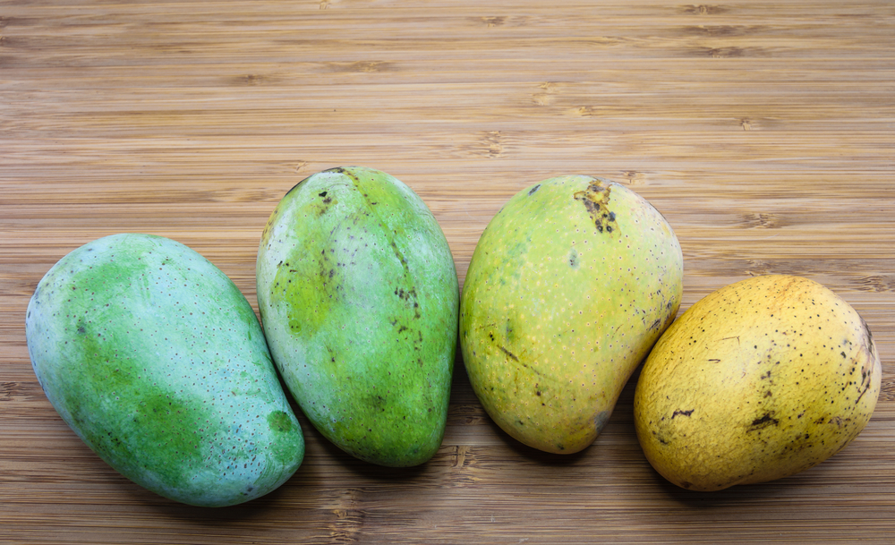 How to tell if a mango is bad - ripening stages