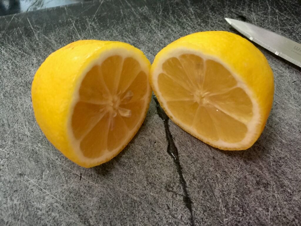 Lemon cut in half for fruit fly repellent - how to get rid of fruit flies with lemon